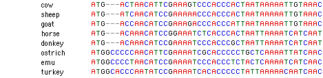 Sequence alignment