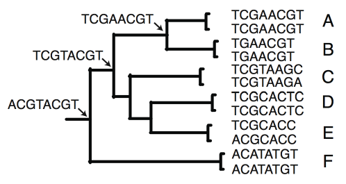 Sequence simulation